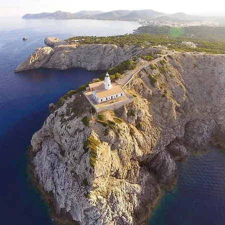 Bellsol 칼라 라트자다