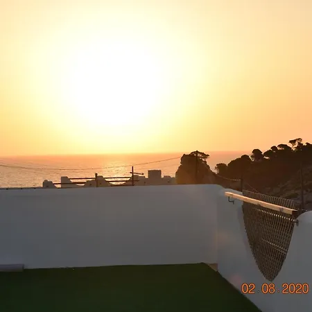 Bellsol * 칼라 라트자다