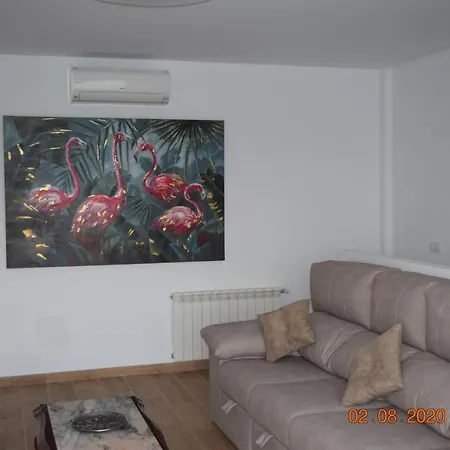 Bellsol * 칼라 라트자다